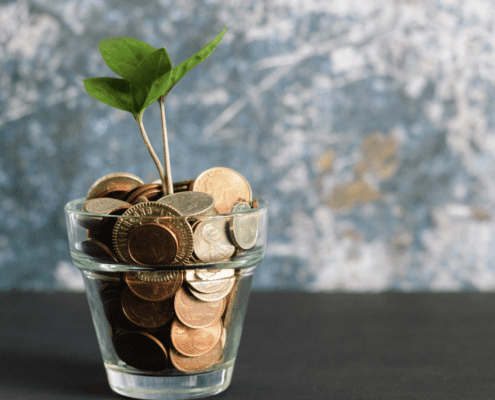 Grønn plante i glass med mynter